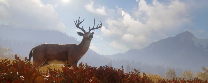 《猎人：荒野的呼唤》育空的北美驯鹿怎么抓