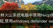 win7风林火山系统电脑中禁用Nvcpl服务将开机时间缩短,禁用windows defender service