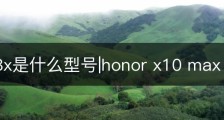 honor8x是什么型号|honor x10 max