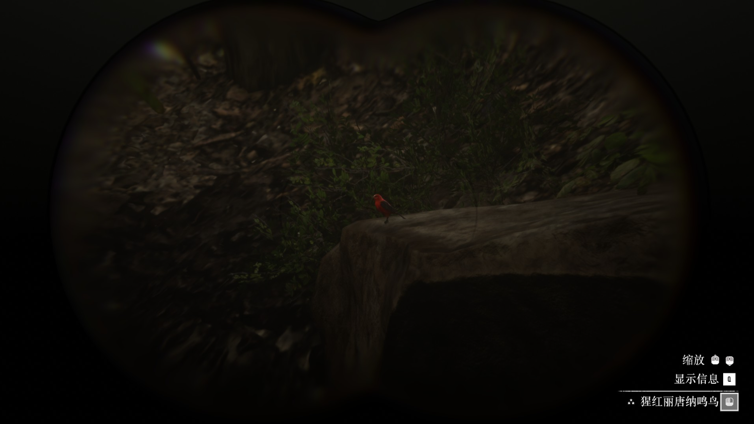 《荒野大镖客2》动物猩红丽唐纳鸣鸟在哪里找