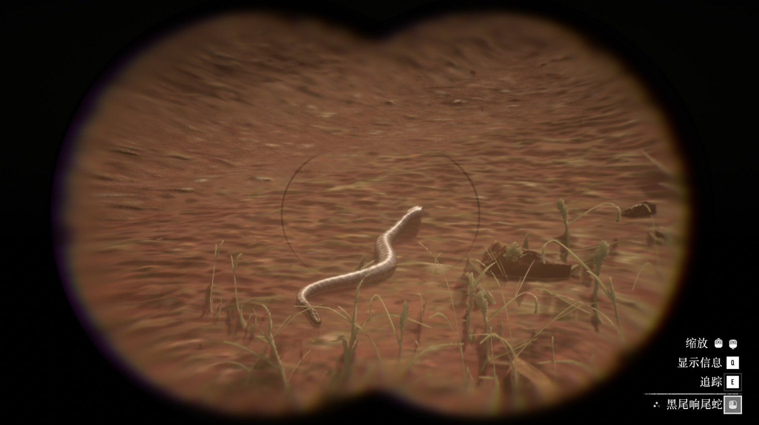 《荒野大镖客2》动物黑尾响尾蛇在哪里找
