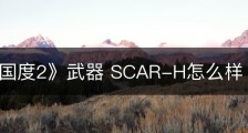 《腐烂国度2》武器 SCAR-H怎么样
