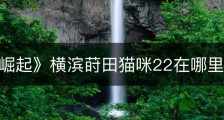 《浪人崛起》横滨莳田猫咪22在哪里